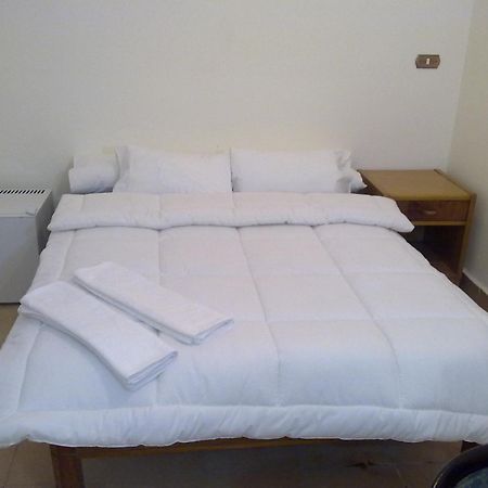 Transit Alexandria Hostel Eksteriør billede