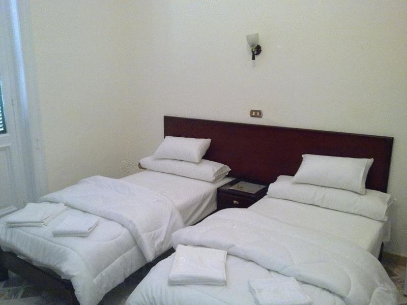 Transit Alexandria Hostel Eksteriør billede